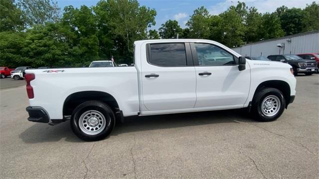 new 2024 Chevrolet Silverado 1500 car, priced at $50,169