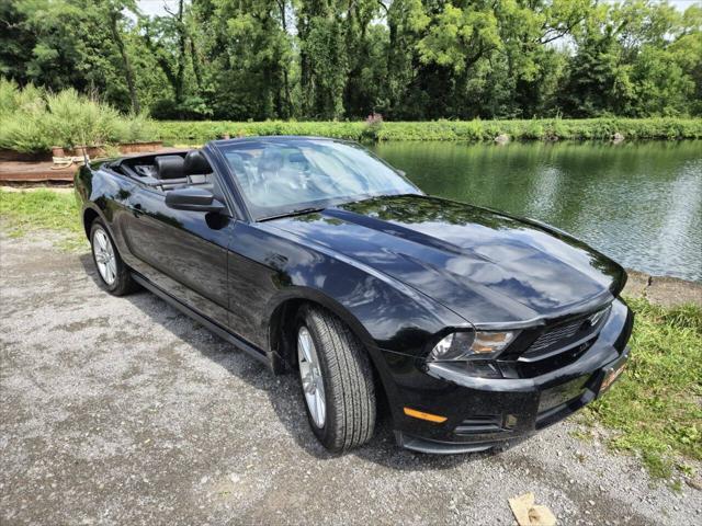 used 2010 Ford Mustang car, priced at $10,995