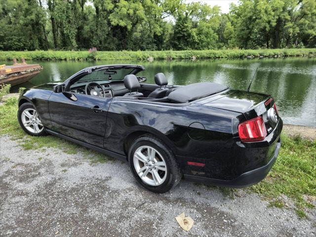 used 2010 Ford Mustang car, priced at $10,995