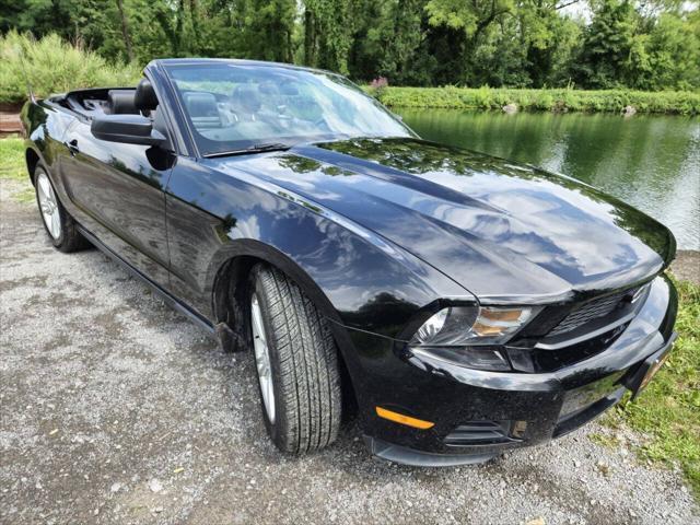 used 2010 Ford Mustang car, priced at $10,995