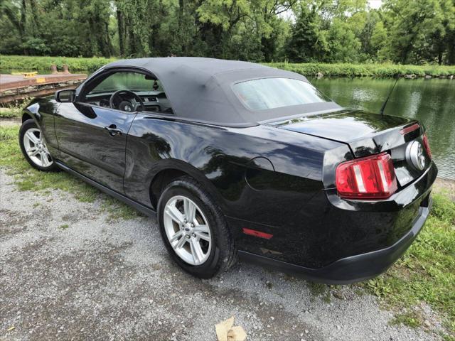 used 2010 Ford Mustang car, priced at $10,995