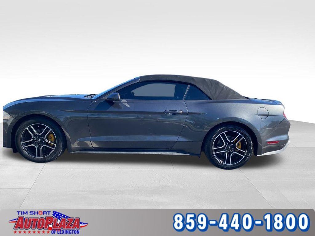 used 2020 Ford Mustang car, priced at $19,000