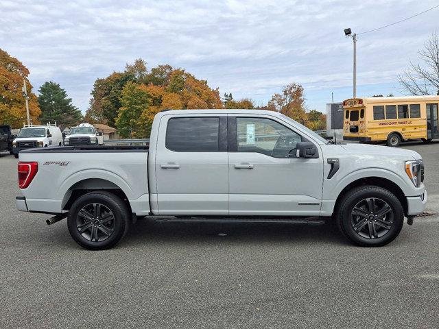 used 2023 Ford F-150 car, priced at $51,900