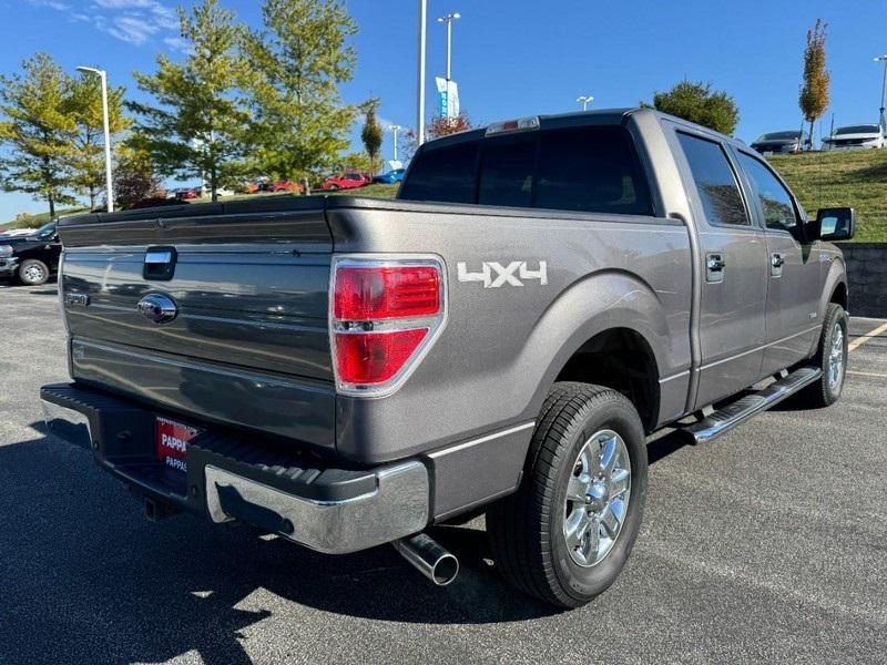 used 2014 Ford F-150 car, priced at $19,000