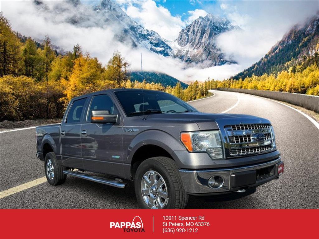 used 2014 Ford F-150 car, priced at $19,000
