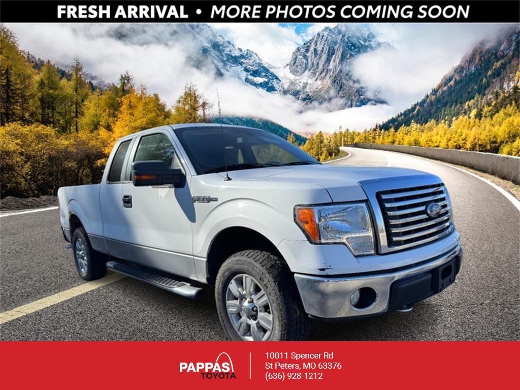 used 2010 Ford F-150 car