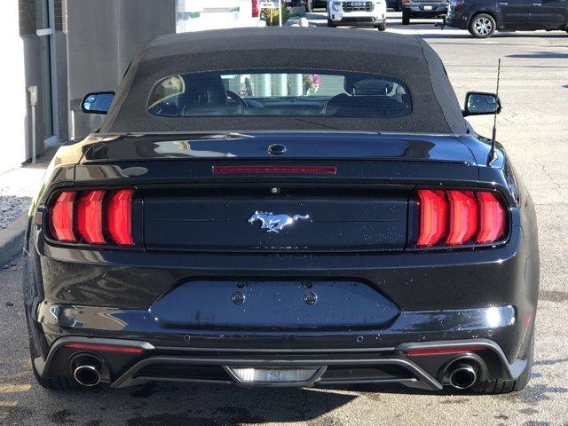used 2019 Ford Mustang car, priced at $21,581