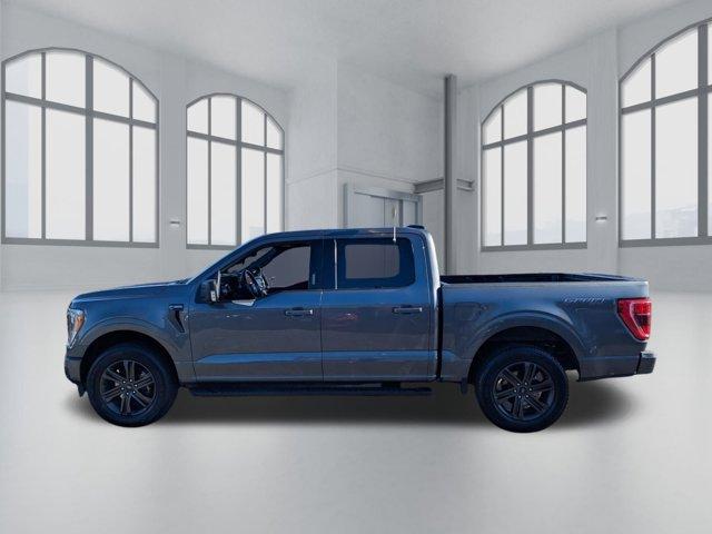 used 2022 Ford F-150 car