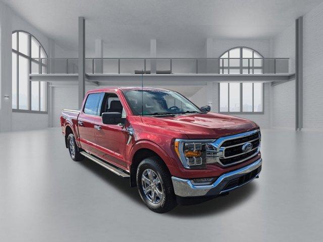 used 2022 Ford F-150 car