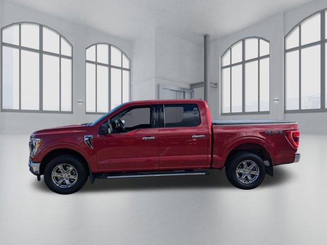 used 2022 Ford F-150 car