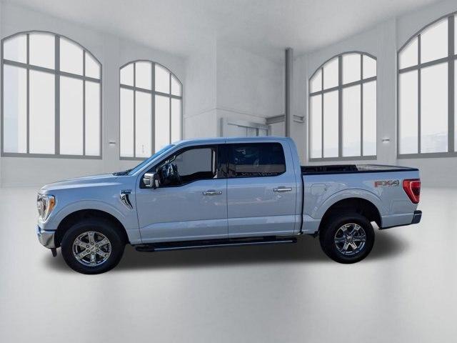 used 2021 Ford F-150 car