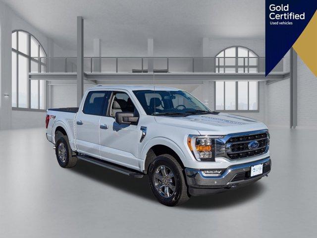 used 2021 Ford F-150 car