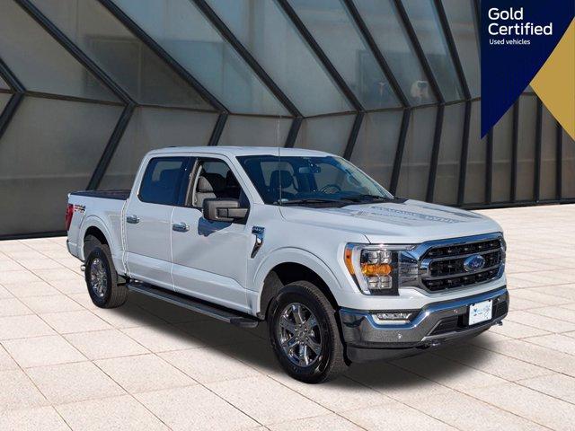 used 2021 Ford F-150 car