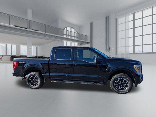 used 2021 Ford F-150 car