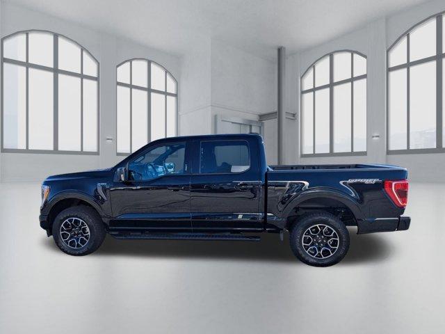 used 2021 Ford F-150 car