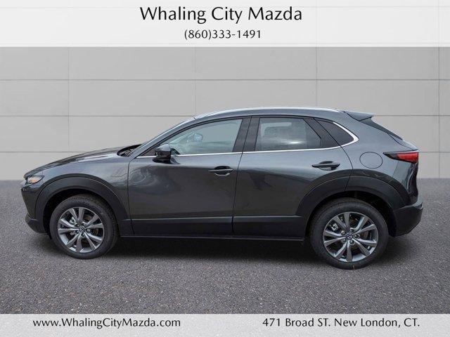 new 2024 Mazda CX-30 car, priced at $33,340