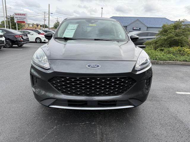 used 2020 Ford Escape car, priced at $19,995