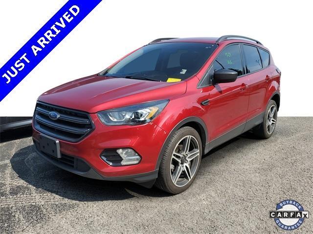 used 2019 Ford Escape car, priced at $16,000