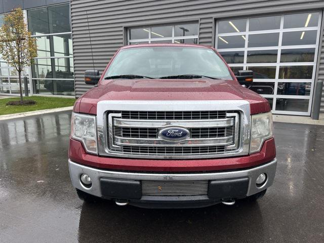 used 2013 Ford F-150 car