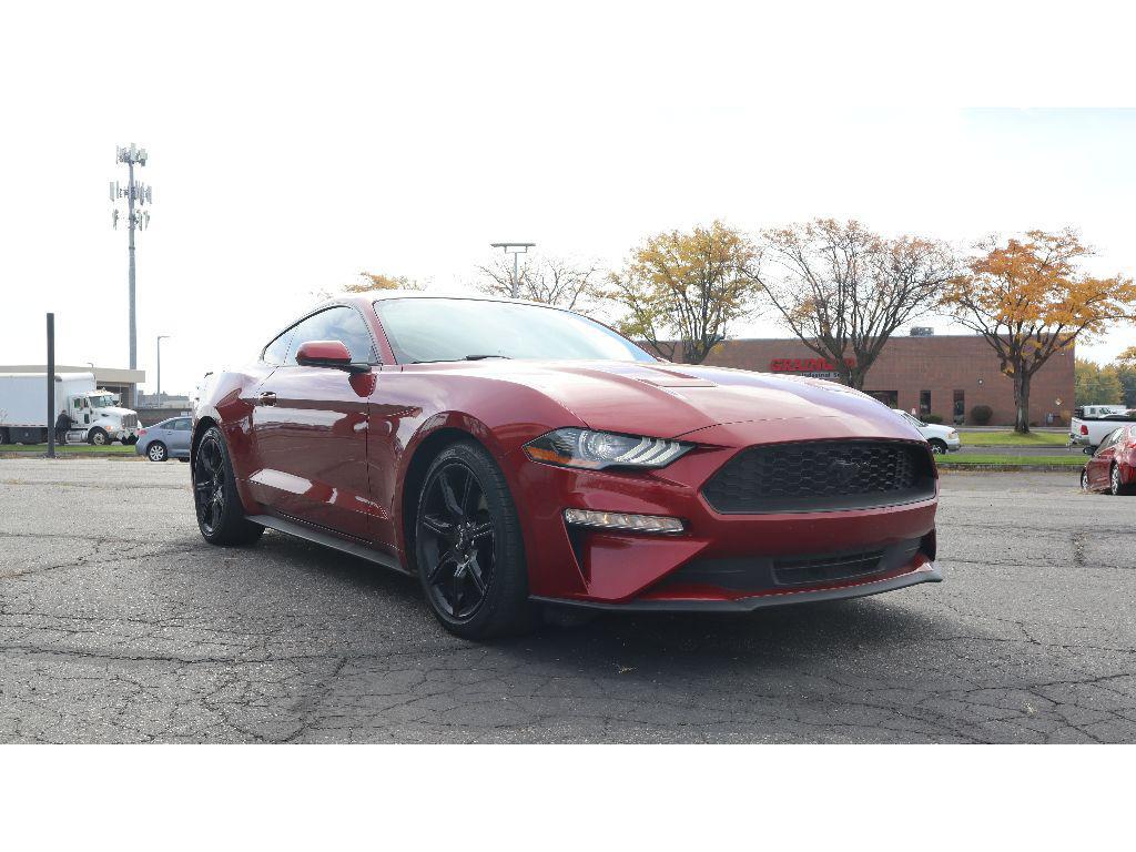 used 2019 Ford Mustang car, priced at $19,999