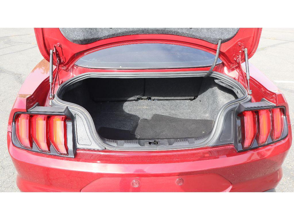 used 2019 Ford Mustang car, priced at $19,999