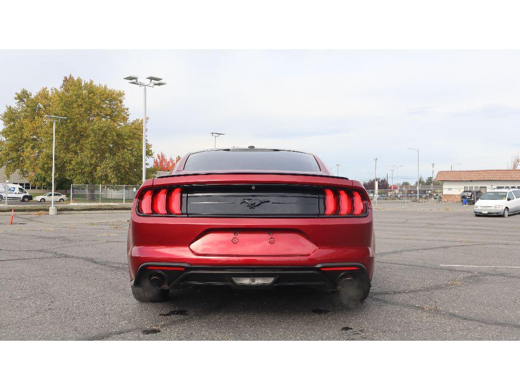 used 2019 Ford Mustang car, priced at $19,999