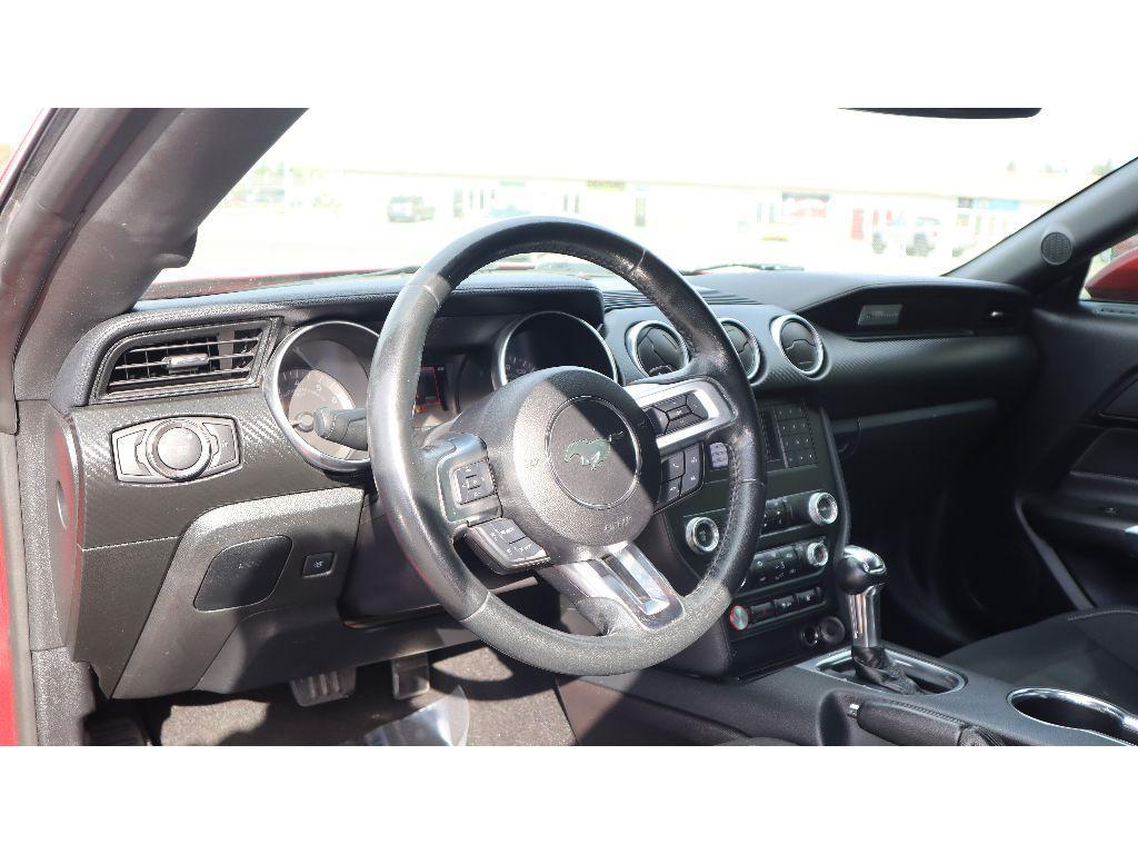 used 2019 Ford Mustang car, priced at $19,999