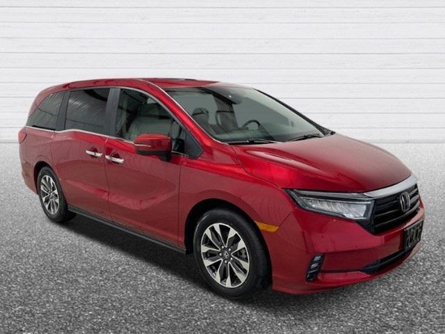 new 2024 Honda Odyssey car, priced at $43,160