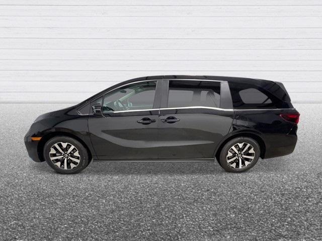 new 2025 Honda Odyssey car, priced at $43,315