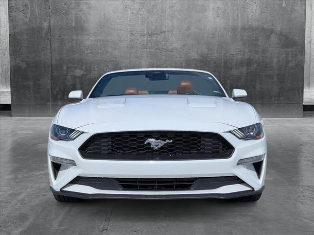 used 2022 Ford Mustang car, priced at $21,998