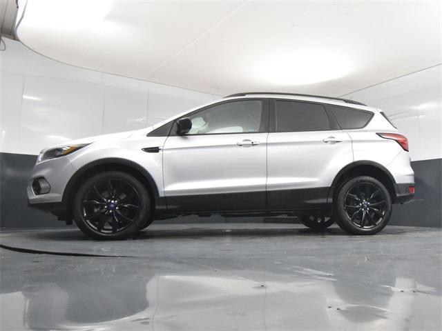 used 2019 Ford Escape car, priced at $10,000
