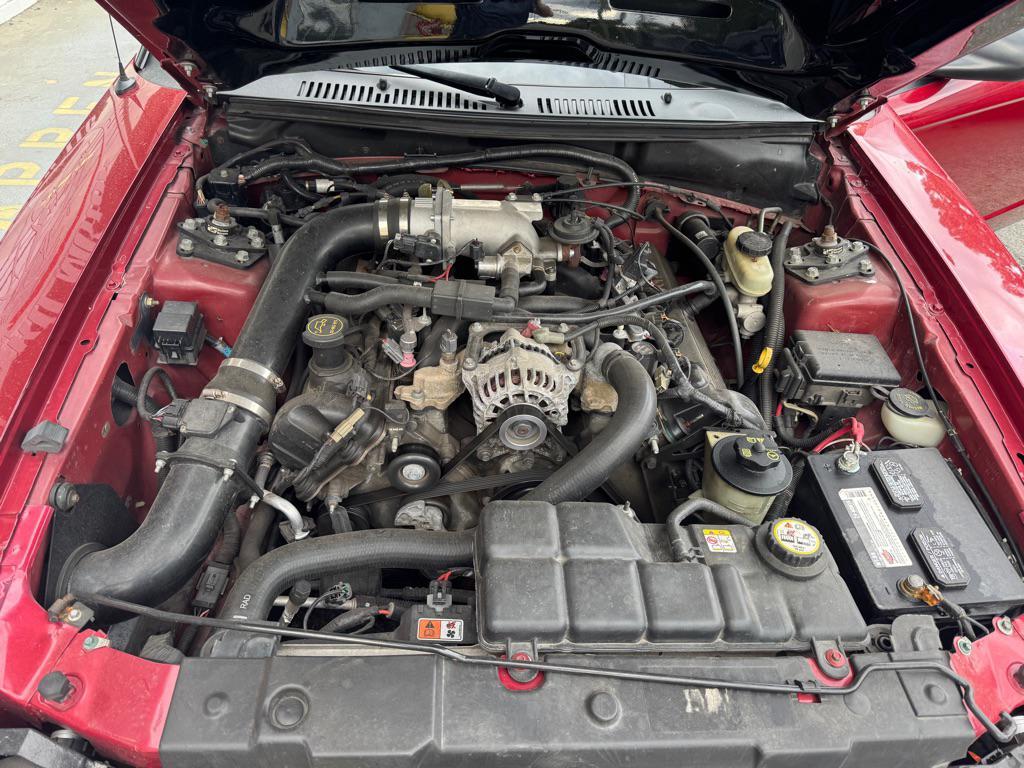 used 2004 Ford Mustang car