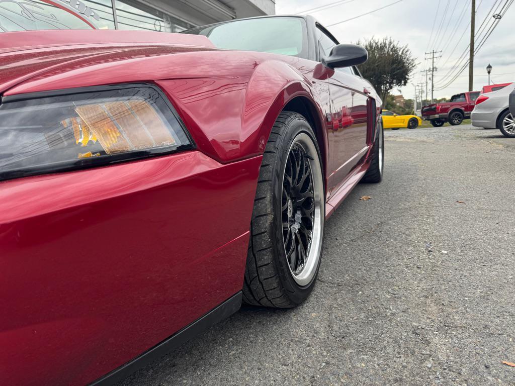 used 2004 Ford Mustang car