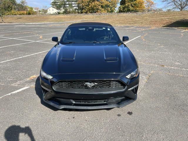 used 2022 Ford Mustang car, priced at $24,995