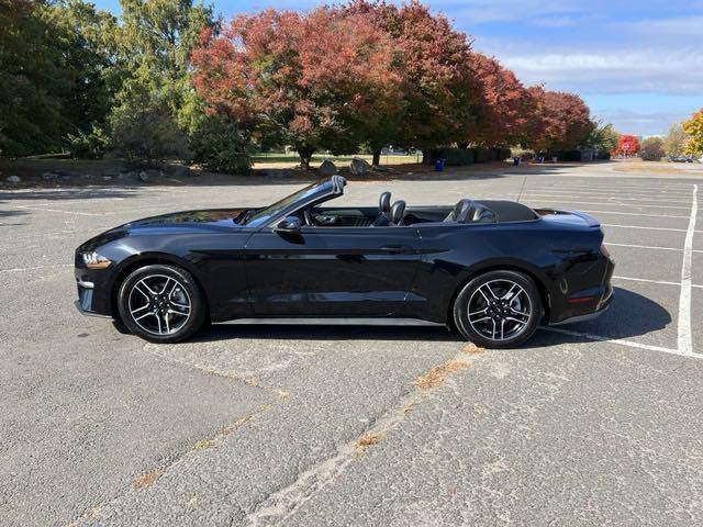 used 2022 Ford Mustang car, priced at $24,995