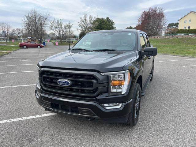 used 2023 Ford F-150 car, priced at $48,995