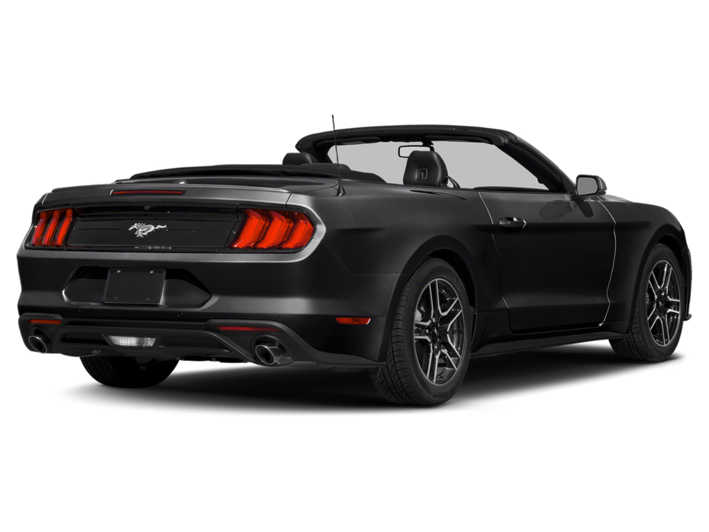used 2019 Ford Mustang car, priced at $18,998