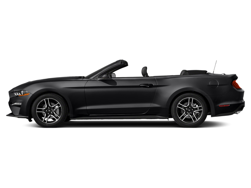 used 2019 Ford Mustang car, priced at $18,998