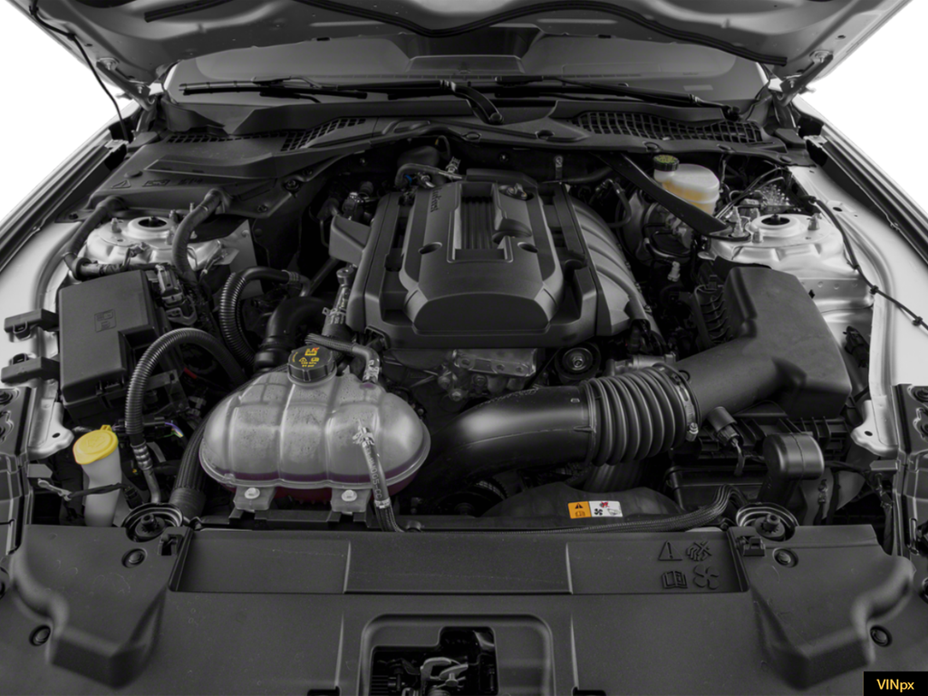 used 2019 Ford Mustang car, priced at $18,998