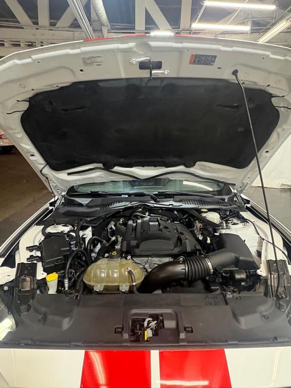 used 2019 Ford Mustang car, priced at $21,775