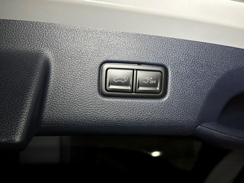 new 2025 Kia Carnival car, priced at $47,000