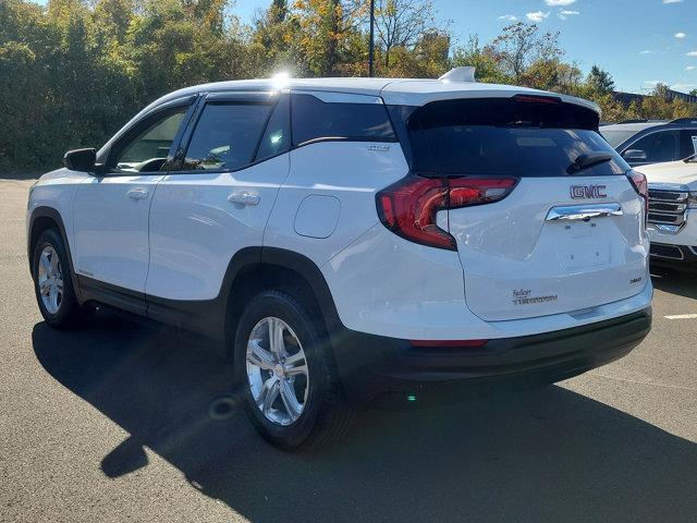 used 2019 GMC Terrain car, priced at $17,865