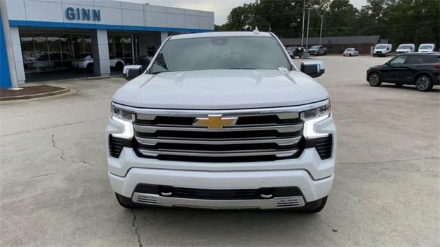 new 2025 Chevrolet Silverado 1500 car, priced at $64,500