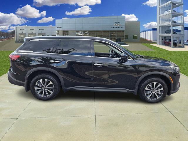 new 2024 INFINITI QX60 car, priced at $48,291