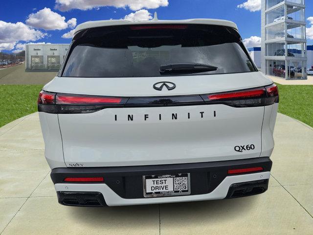 new 2025 INFINITI QX60 car, priced at $57,980