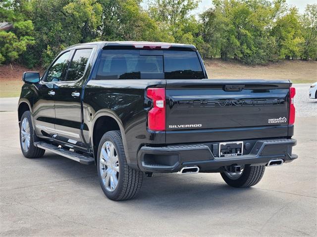 new 2025 Chevrolet Silverado 1500 car, priced at $69,495