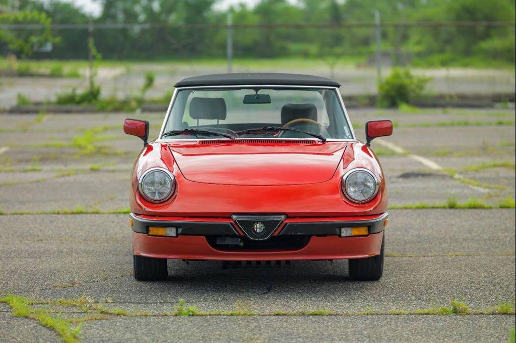 used 1989 Alfa Romeo Spider car, priced at $26,500