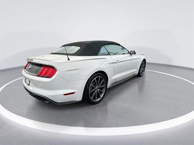 used 2019 Ford Mustang car, priced at $22,800