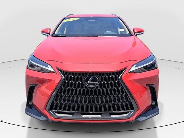 used 2025 Lexus NX 250 car, priced at $38,963