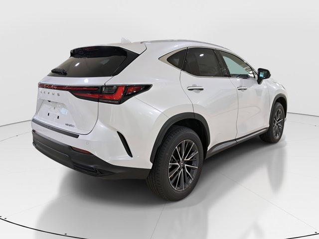 new 2025 Lexus NX 250 car